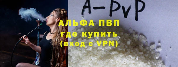 спиды Верея