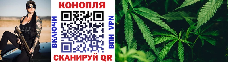 Купить где  Нягань  Каннабис сатива 
